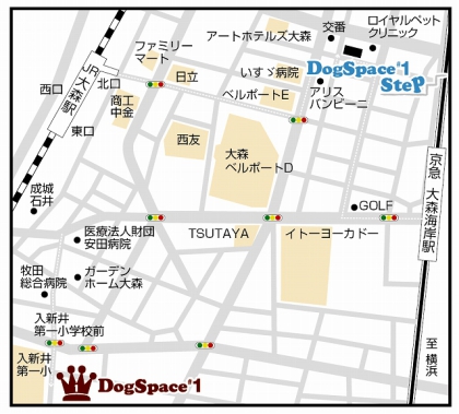 step_dsiMAP.jpg step_dsiMAP.jpg